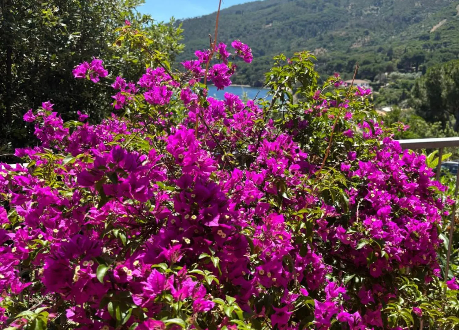 Holiday home Casa Perla E Conchiglia Villa Capoliveri